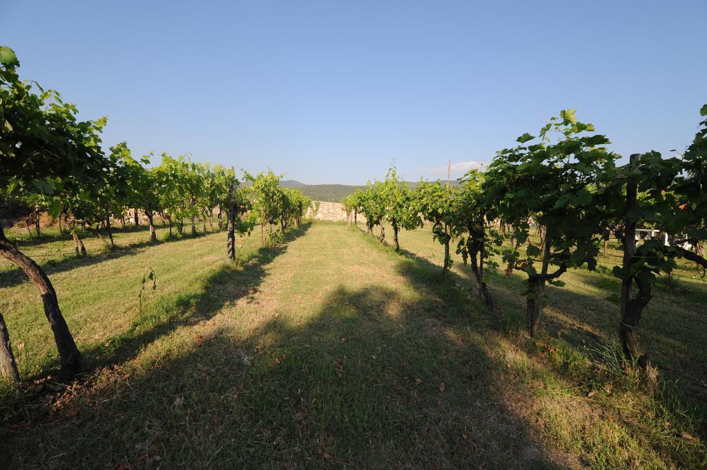 Agriturismo Scorgiano Extérieur photo